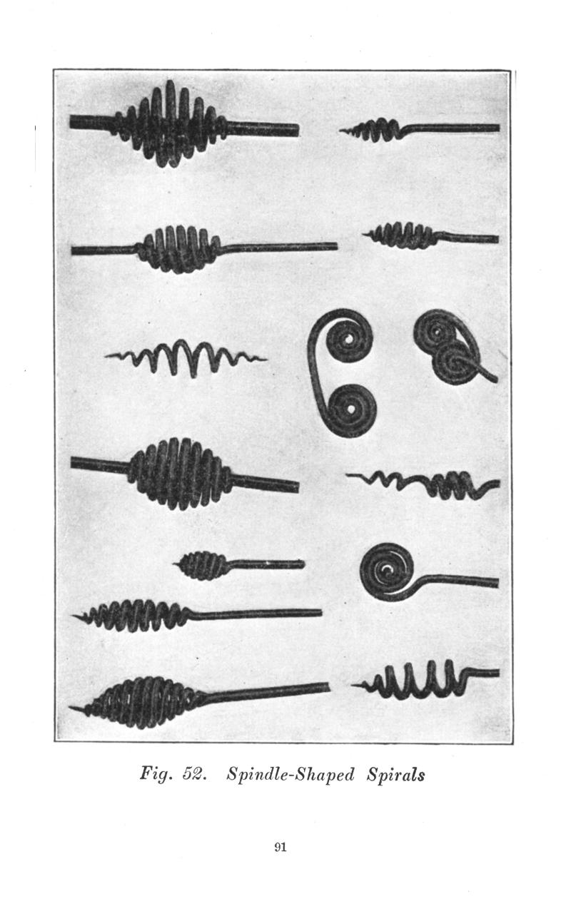 Fig. 52,  Spindle-Shaped Spirals