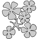 rose0001.gif (3207 bytes)