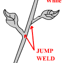 rose0011.gif (2734 bytes)