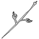 rose0012.gif (1858 bytes)