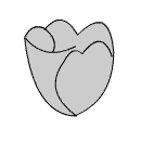 rose0023.gif (1867 bytes)