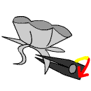 rose0024.gif (2465 bytes)