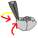 rose0025.gif (2487 bytes)