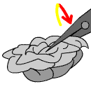 rose0027.gif (2727 bytes)