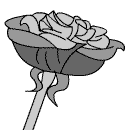 rose0028.gif (2715 bytes)