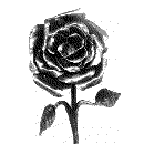 rose0030.gif (3304 bytes)