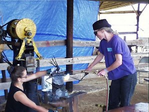 Paige and Andi bending the arms