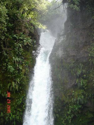 Photo by Molly Dempsey